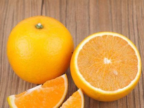 廉江今日爆料新闻视频,视频揭露惊人事件，详情敬请关注