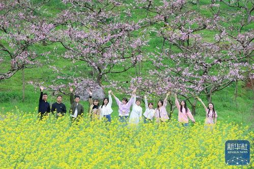 圈内人爆料春和景明