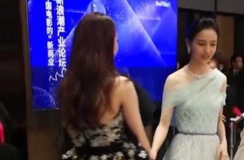 热巴爆料视频大全集最新,揭秘明星幕后故事与真实情感