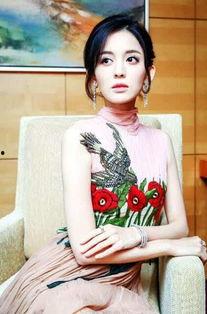 爆料娱乐圈古力娜扎,娱乐圈爆料背后的真相与争议