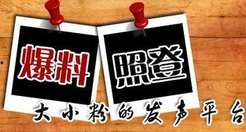 夹江新闻爆料电话