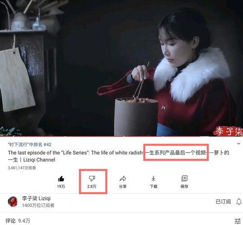 天涯爆料网红五嫂视频,揭秘背后真相与争议