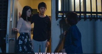 爸爸活手机在线观看,揭秘家庭生活新趋势