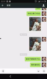 爸爸活手机在线观看,揭秘家庭生活新趋势