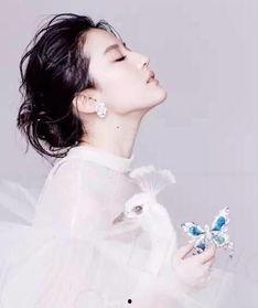 杨洋刘亦菲最新爆料视频