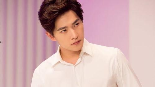 杨洋杨紫最新爆料,揭秘幕后故事与精彩瞬间