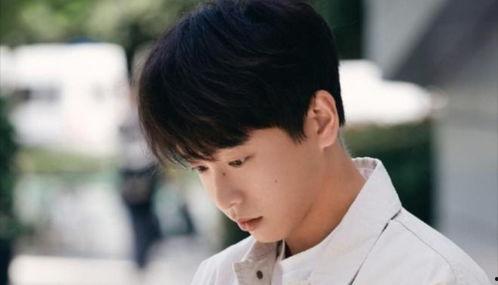 杨洋杨紫最新爆料,揭秘幕后故事与精彩瞬间