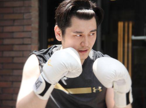 郑伟爆料视频在线观看,揭秘事件背后惊人真相