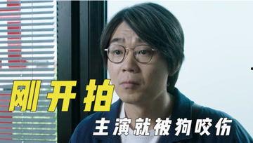 wb娱乐吃瓜君,娱乐圈最新热点事件大追踪