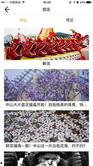 中山爆料热点新闻最新,最新爆料揭示惊人真相，民众热议！