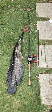 钓鱼吃瓜小说免费阅读,免费阅读的奇幻钓鱼之旅