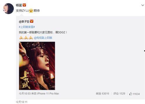 谁爆料了郑燕姿视频,神秘爆料者身份引热议