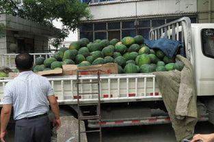 石家庄早市爆料视频最新,最新爆料视频揭示清晨市井生活