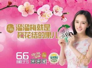 东北食品爆料事件视频,揭秘视频揭露行业黑幕