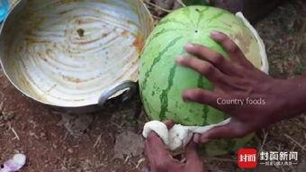 印度网红吃瓜事件,揭秘网络舆论的风暴与真相