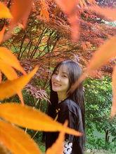 李小璐爆料张艺兴视频,事件背后真相揭秘